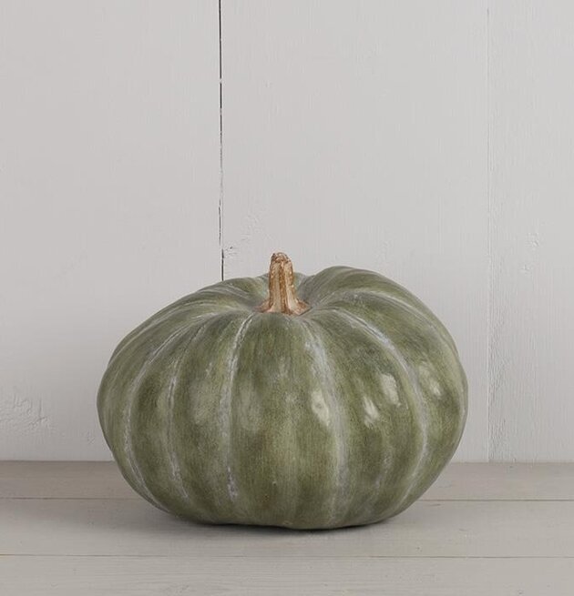 Pumpa Grön Poly från Multi Agentur med realistisk design