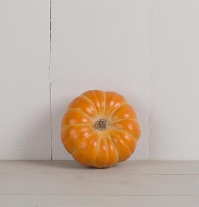 Pumpa Orange Liten Poly från Multi Agentur mot vit vägg