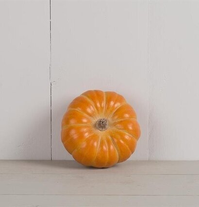 Pumpa Orange Liten Poly från Multi Agentur mot vit vägg