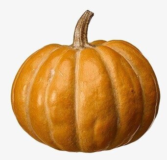 Pumpa Orange Poly från Wikholm Form på vit bakgrund