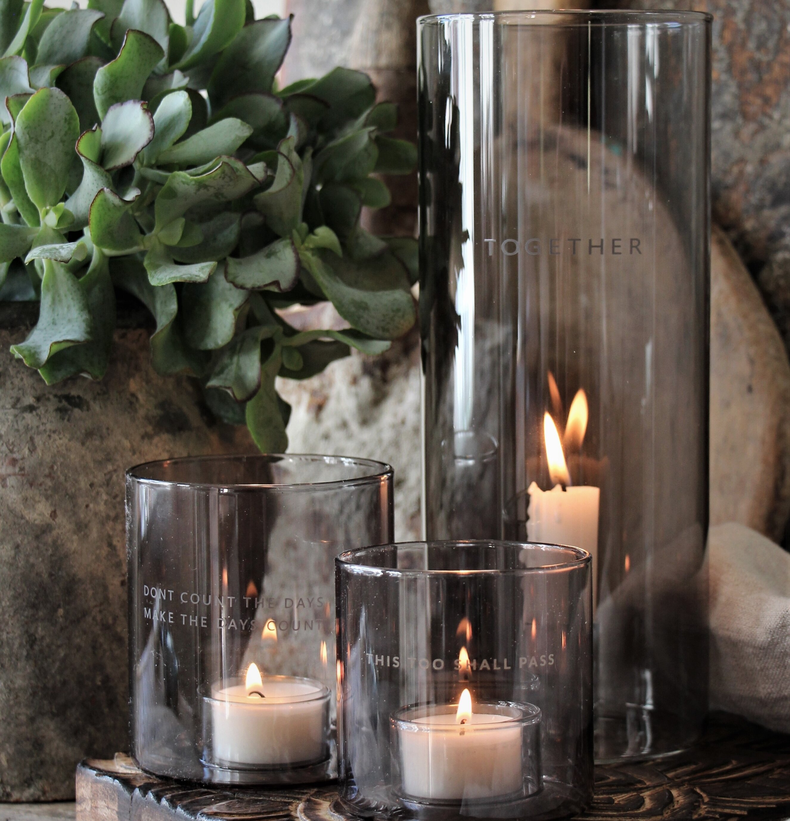 Ljuslykta Together - Majas Cottage på träplatta med växt