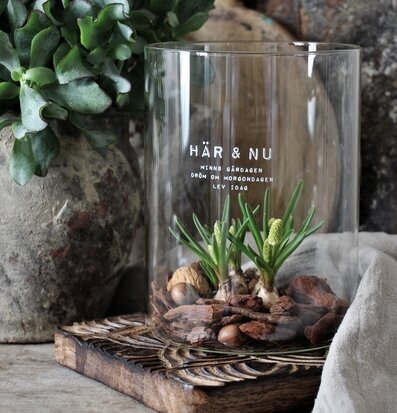 Bild av elegant ljuslykta med naturinspirerad stil