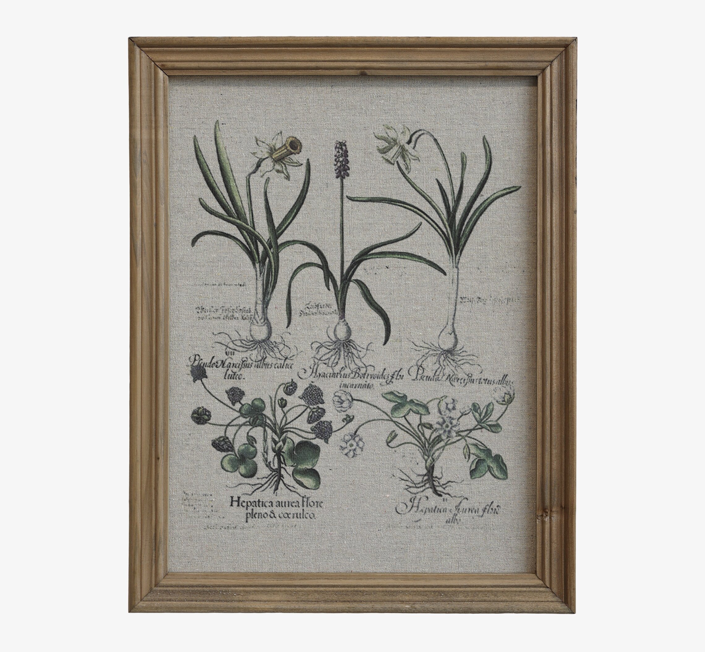 Tavla Med Blomsterprint från Chic Antique med botaniska motiv