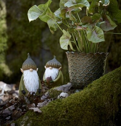 Vätte Med Ekollon Grön från Wikholm Form i naturlig miljö