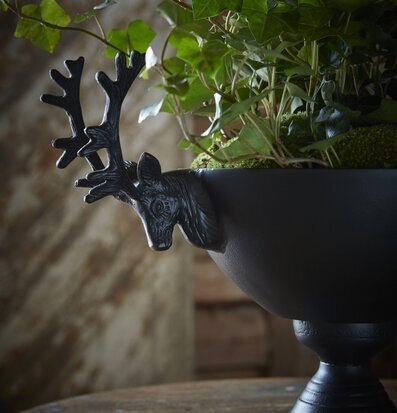 Hjort Skål Svart från Wikholm Form fylld med grönska