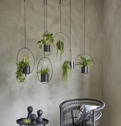 Växt/Blomkruka Ring Svart från Speedtsberg på betongvägg