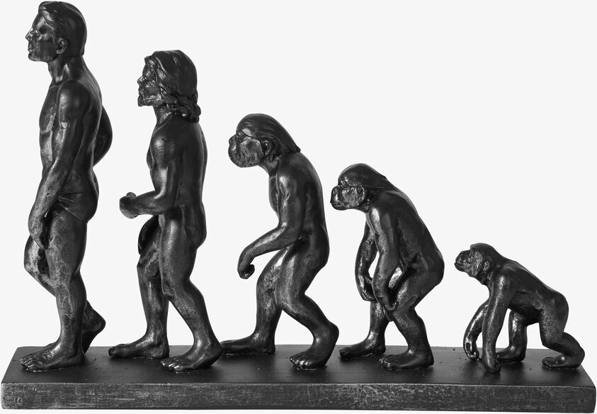 Figurin Evolution Svart från Speedtsberg visar mänsklig evolution