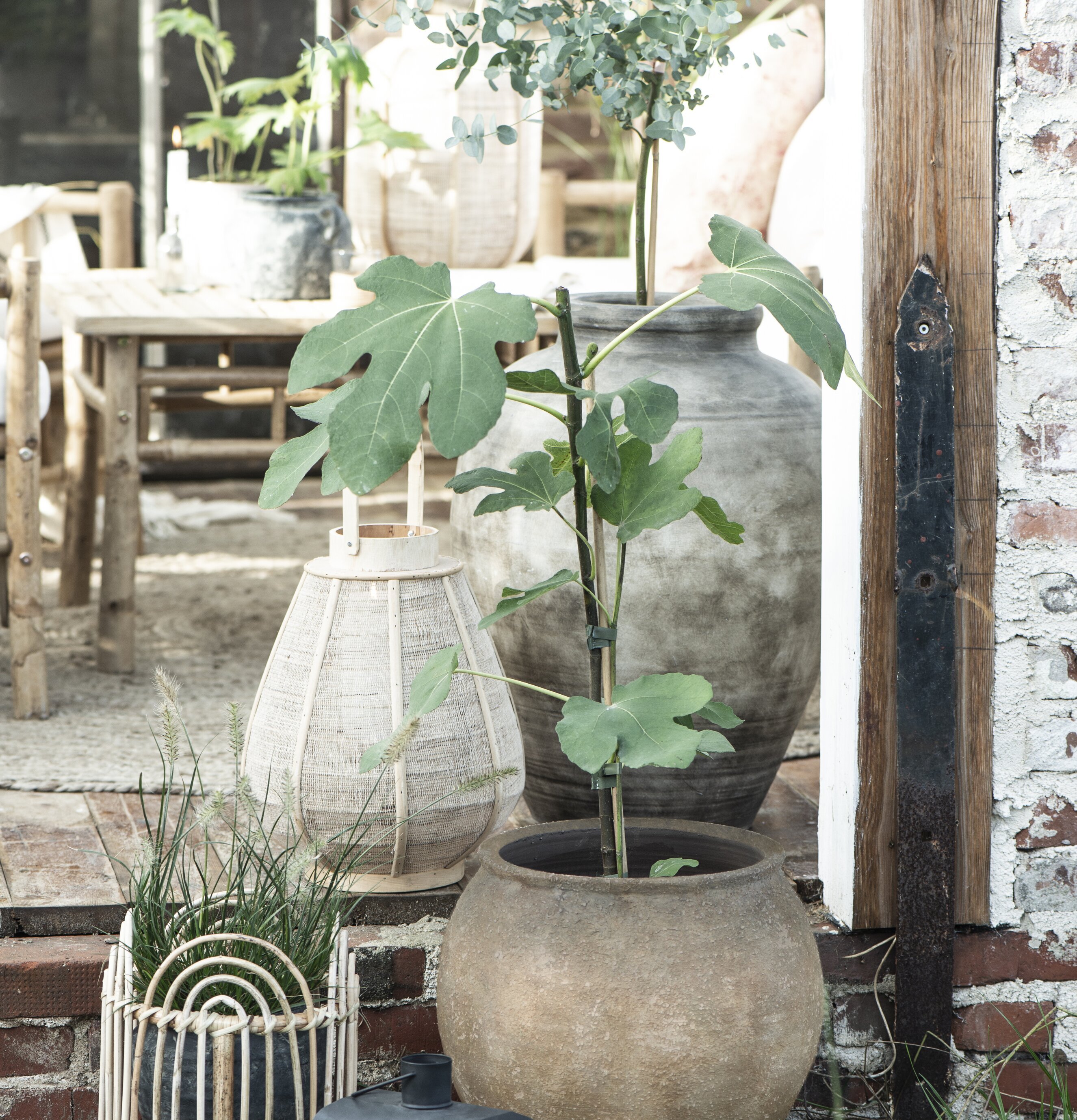 Bild av harmoniskt arrangerad yta med växter och lyktor