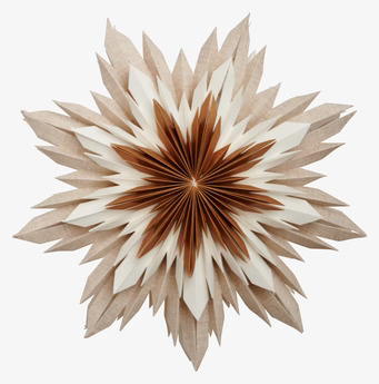 Julstjärna Marta 60 Brun från Watt och Veke på vit bakgrund