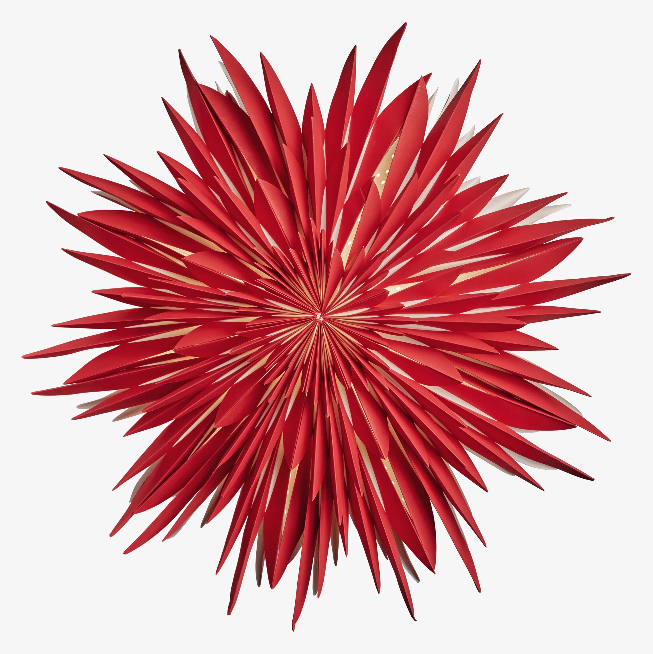 Julstjärna Maja 60 Röd från Watt och Veke i studioinställning