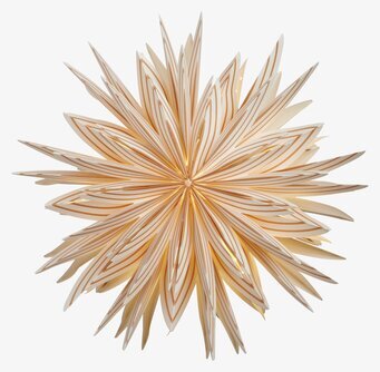 Julstjärna Lovisa 50 Guld från Watt och Veke, gyllene stjärna