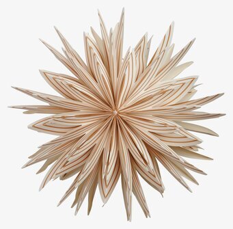 Julstjärna Lovisa 50 Guld från Watt och Veke i fönster