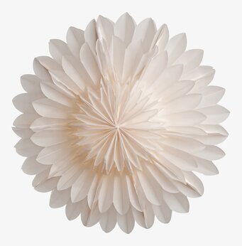 Julstjärna Lotus 44 Vit från Watt och Veke i fönster