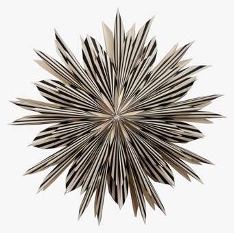 Julstjärna Leah 50 Svart från Watt och Veke i svartvitt mönster