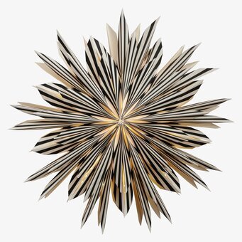 Julstjärna Leah 50 Svart från Watt och Veke i fönster