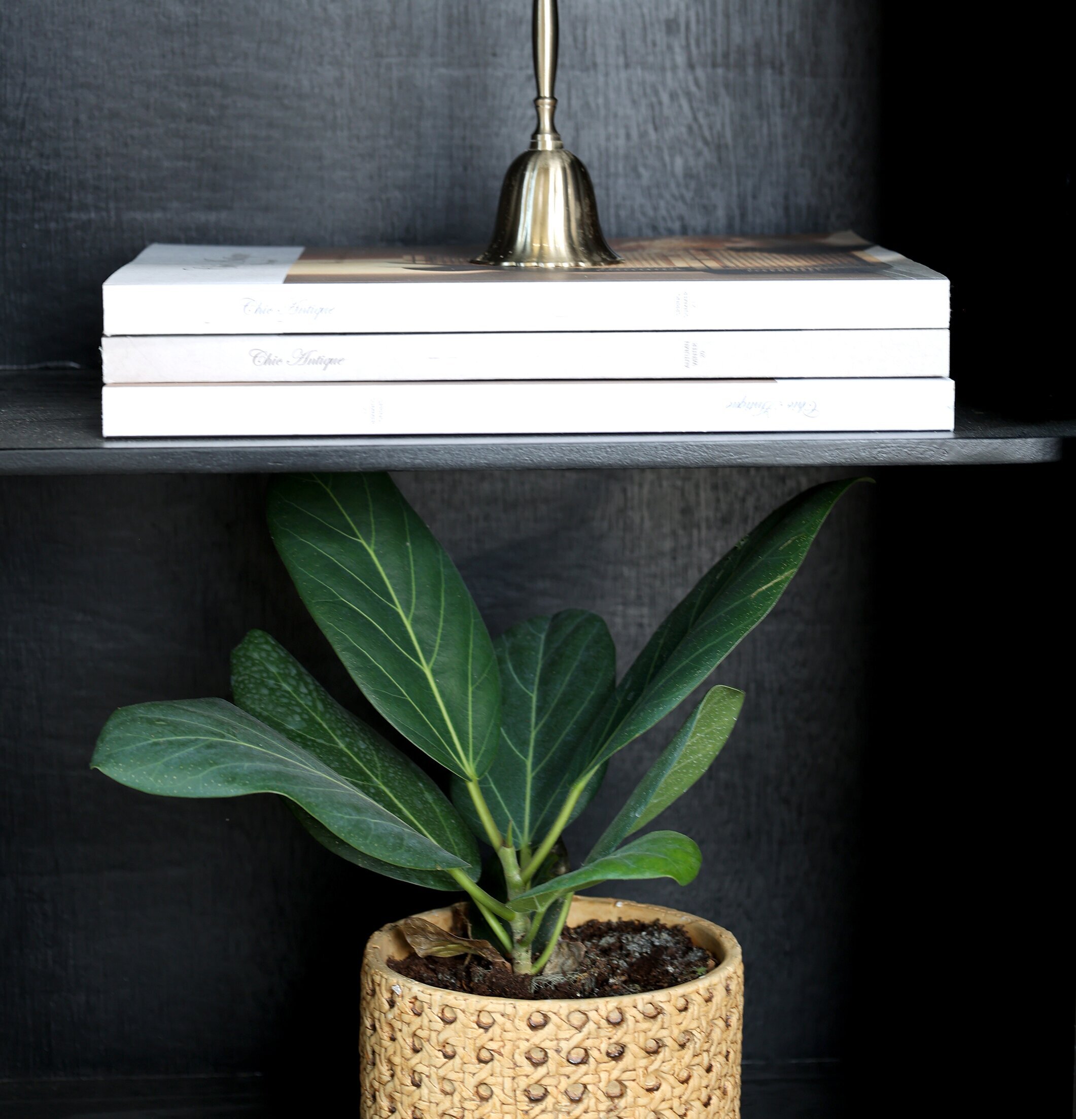 Skåp Med Flätad Rotting Svart från Chic Antique i elegant miljö