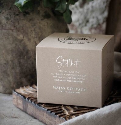 Foto av harmonisk inredning med ljuslykta och växter