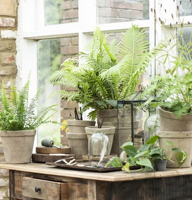 Glasklocka Liten från IB Laursen på rustikt träbord