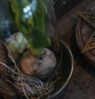 Ljusbricka Olivgrön/Mässing IB Laursen Fat för ljus, lyktor, växter och krukor