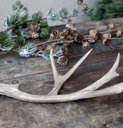 Horn Deko Antikbrun/Guld från Chic Antique på träbord