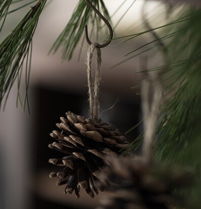 Kotte Med Jutesnöre från IB Laursen i naturlig miljö