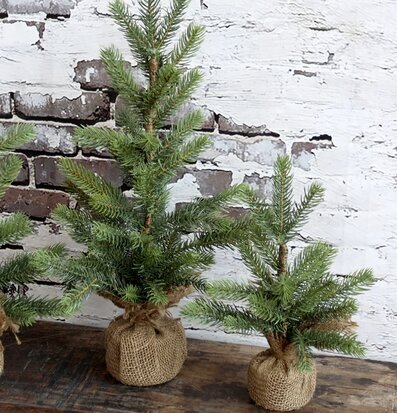 Fleur Gran H27 Cm från Chic Antique i rustik miljö