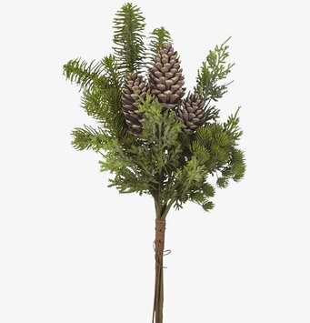 Bukett Med Kottar från Mr Plant med grankvistar och kottar