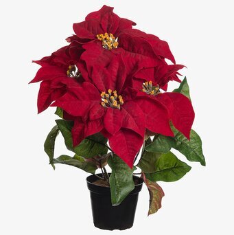 Julstjärna Röd 38 Cm från Mr Plant, realistisk konstväxt