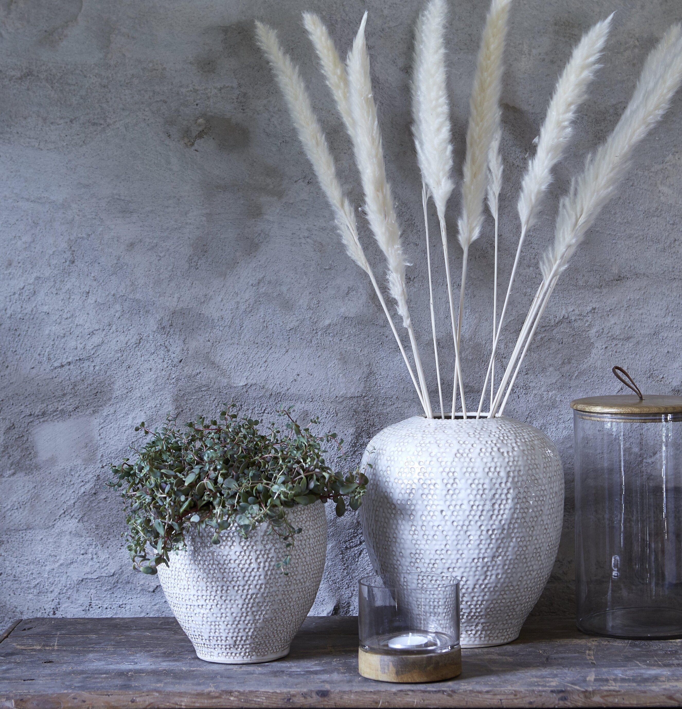 Pampas S OffWhite - 3-Pack, totalt 18 strån från Wikholm Form