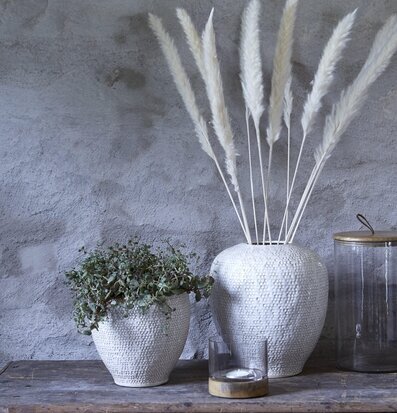 Pampas S OffWhite - 3-Pack, totalt 18 strån från Wikholm Form