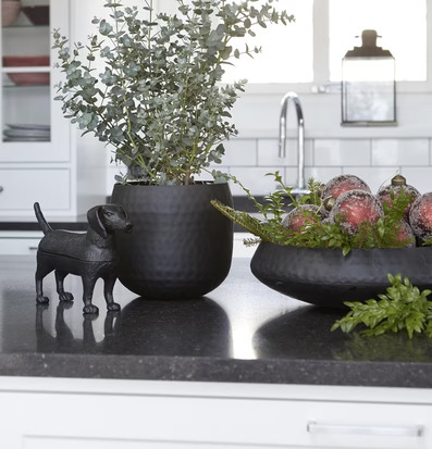Disha Hund Ask från Wikholm Form på mörk köksbänk med växter