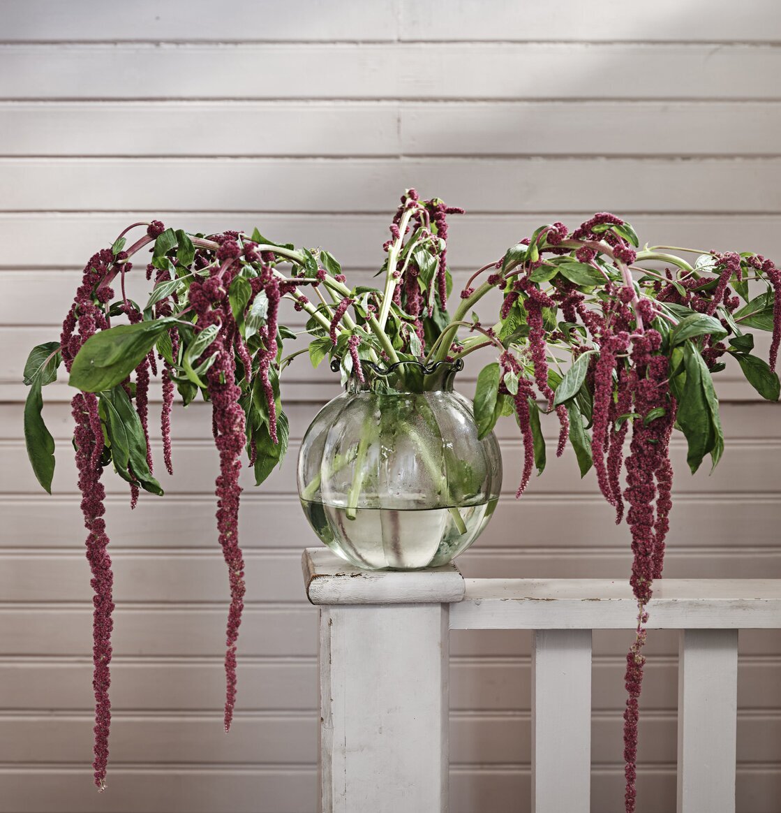 Vas Linnéa Grön från Strömshaga på vitmålad träbänk