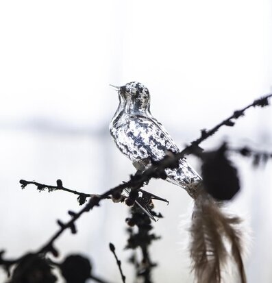 Dekorationsfågel Med Clip från IB Laursen på en kvist