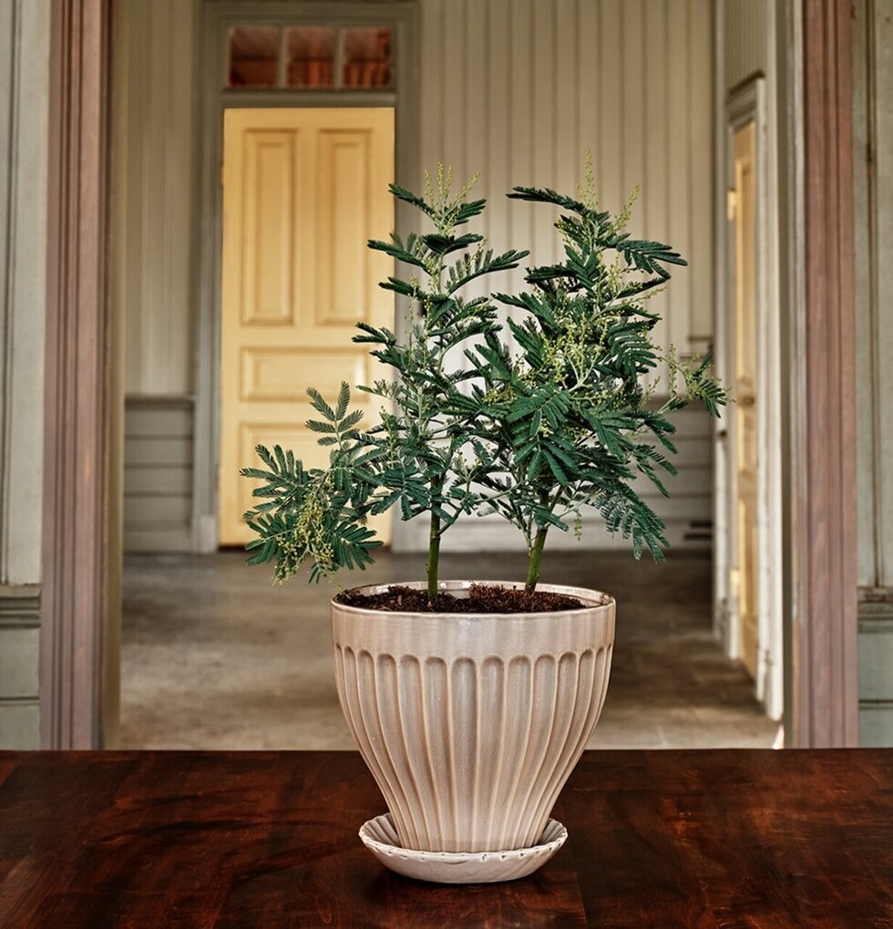 Kruka Beige 30 cm Inkl Fat från Strömshaga i klassisk miljö