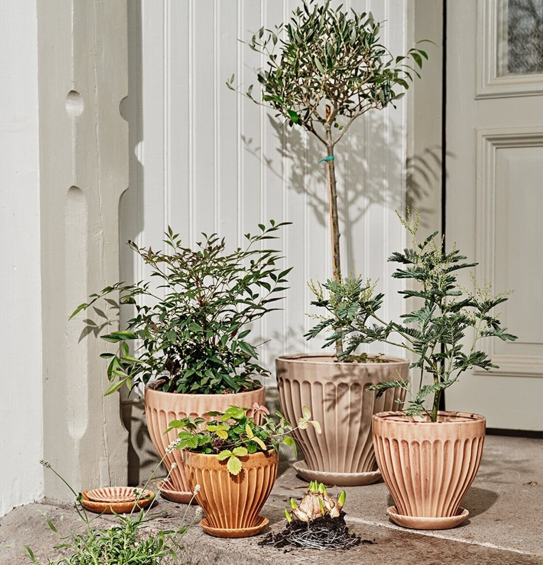 Kruka Askrosa 21 cm Inkl Fat från Strömshaga på stentrappa