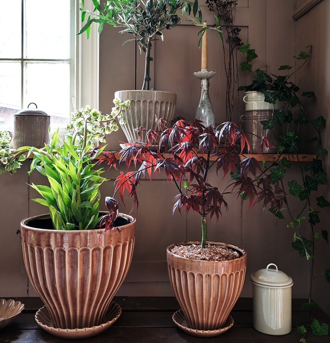 Kruka Askrosa 21 cm Inkl Fat från Strömshaga vid fönster