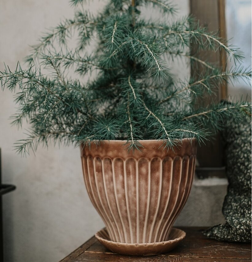 Kruka Askrosa 25 cm Inkl Fat från Strömshaga på träbord