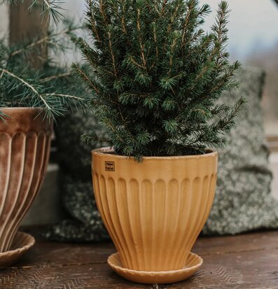 Kruka Ockra 25 cm Inkl Fat från Strömshaga i ockragul färg