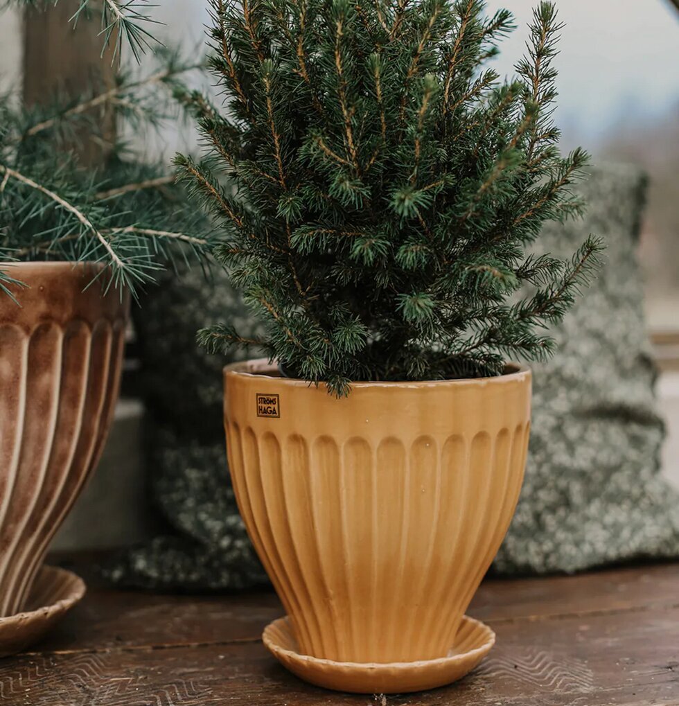 Kruka Ockra 25 cm Inkl Fat från Strömshaga i ockragul färg