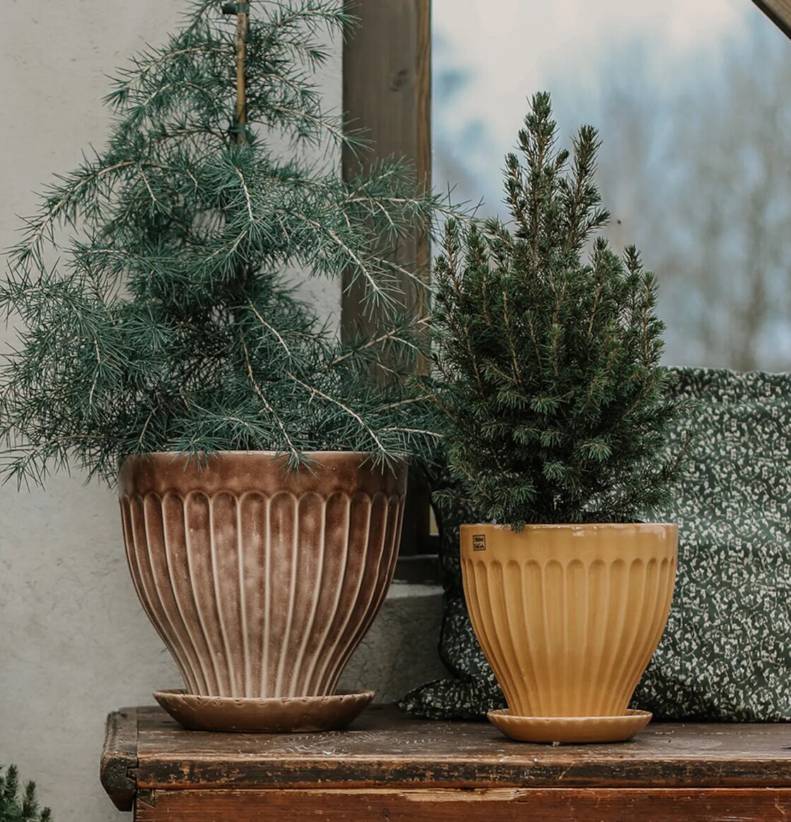 Kruka Ockra 21 cm Inkl Fat från Strömshaga på trämöbel