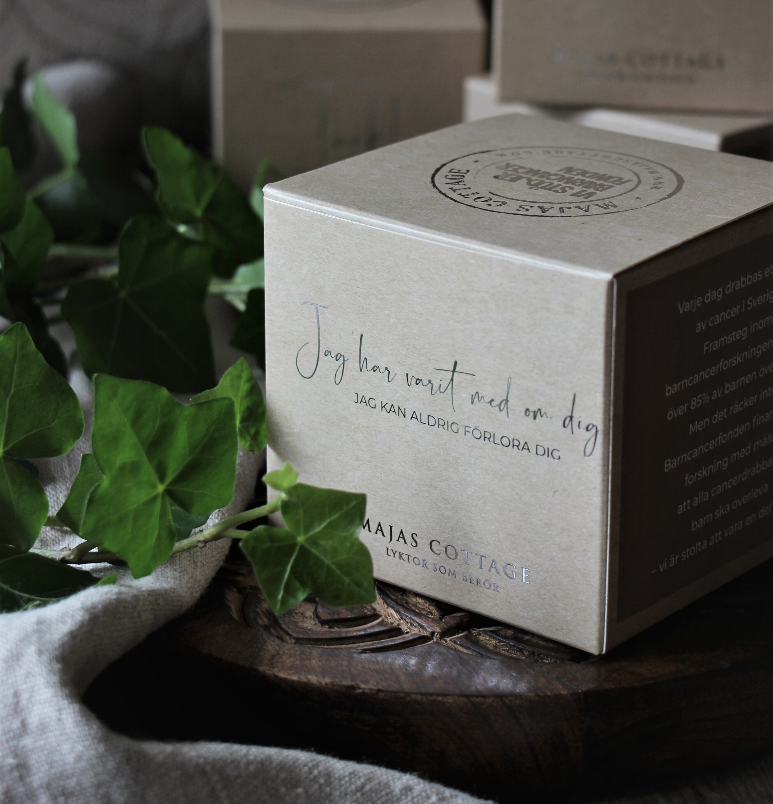 Bild av hemtrevnad och natur i elegant komposition