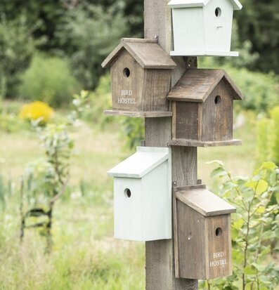 Fågelholk Bird Hostel från IB Laursen i lummig trädgård