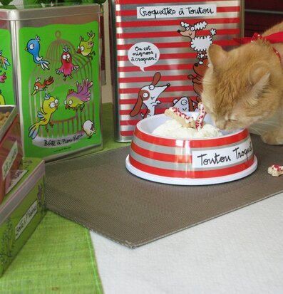 Hundskål röd från Derriére la porte med katt som äter