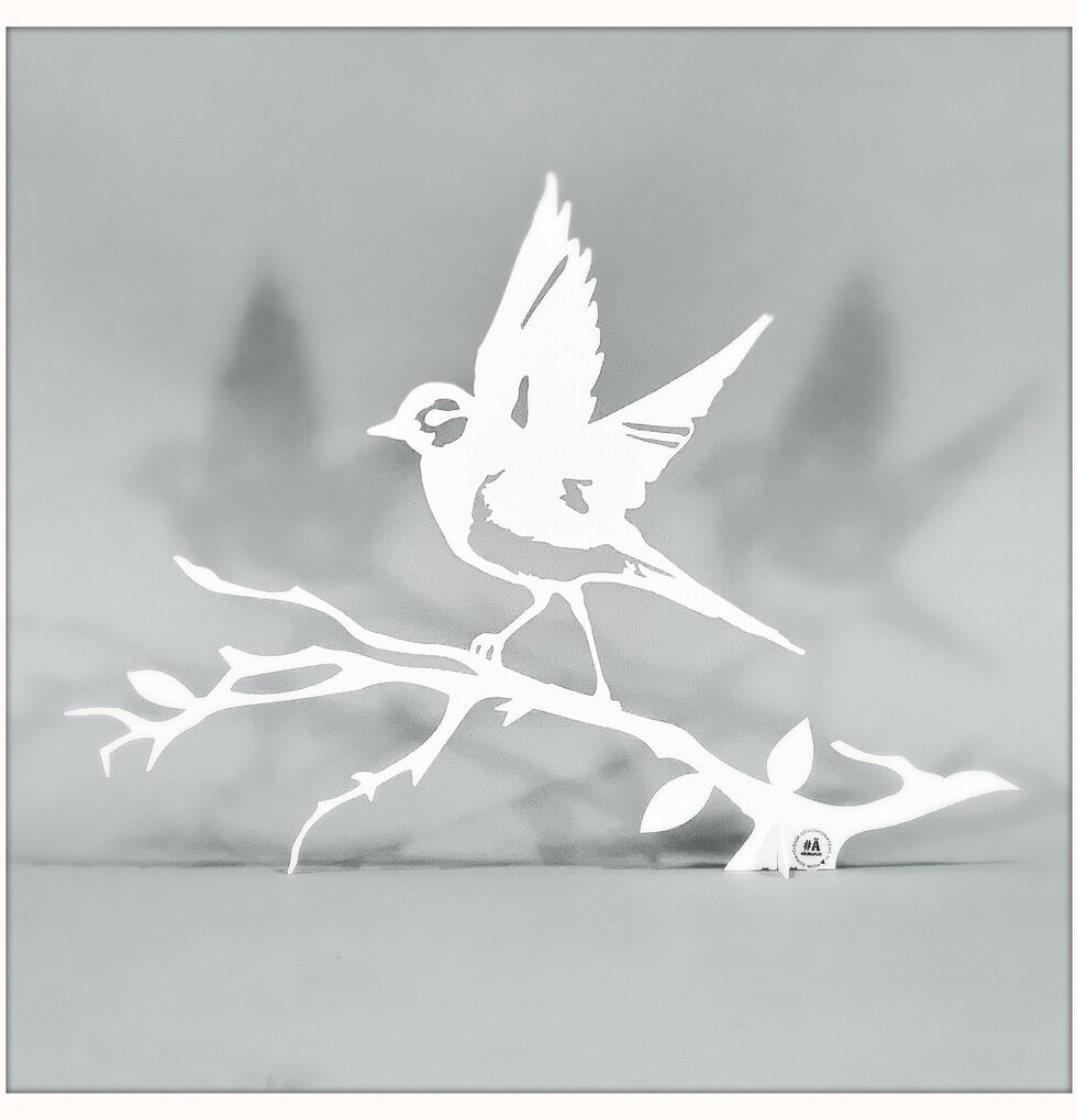 #ÄlskaPlåt Sädesärla Vit Ärling från Älskaplåt på en gren