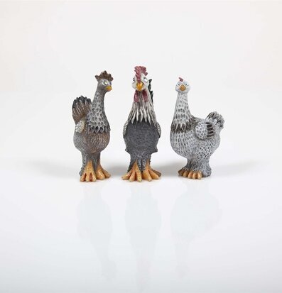 Hönan Hedda från Nääsgränsgården, detaljerade kycklingar