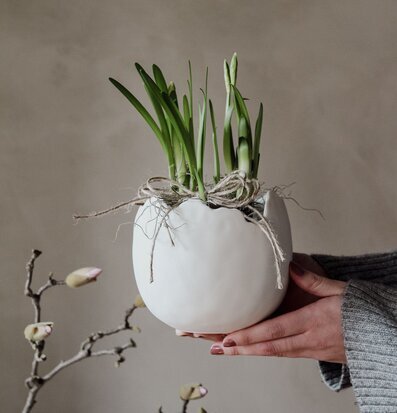 Skål Äggskal Stor från Majas Cottage med växter och mossa