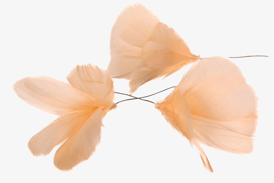 Fjäder/Tråd Blom Aprikos 12 st från A Lot Decoration