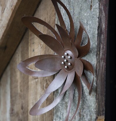 Blomma Hamrad Plåt Different Design