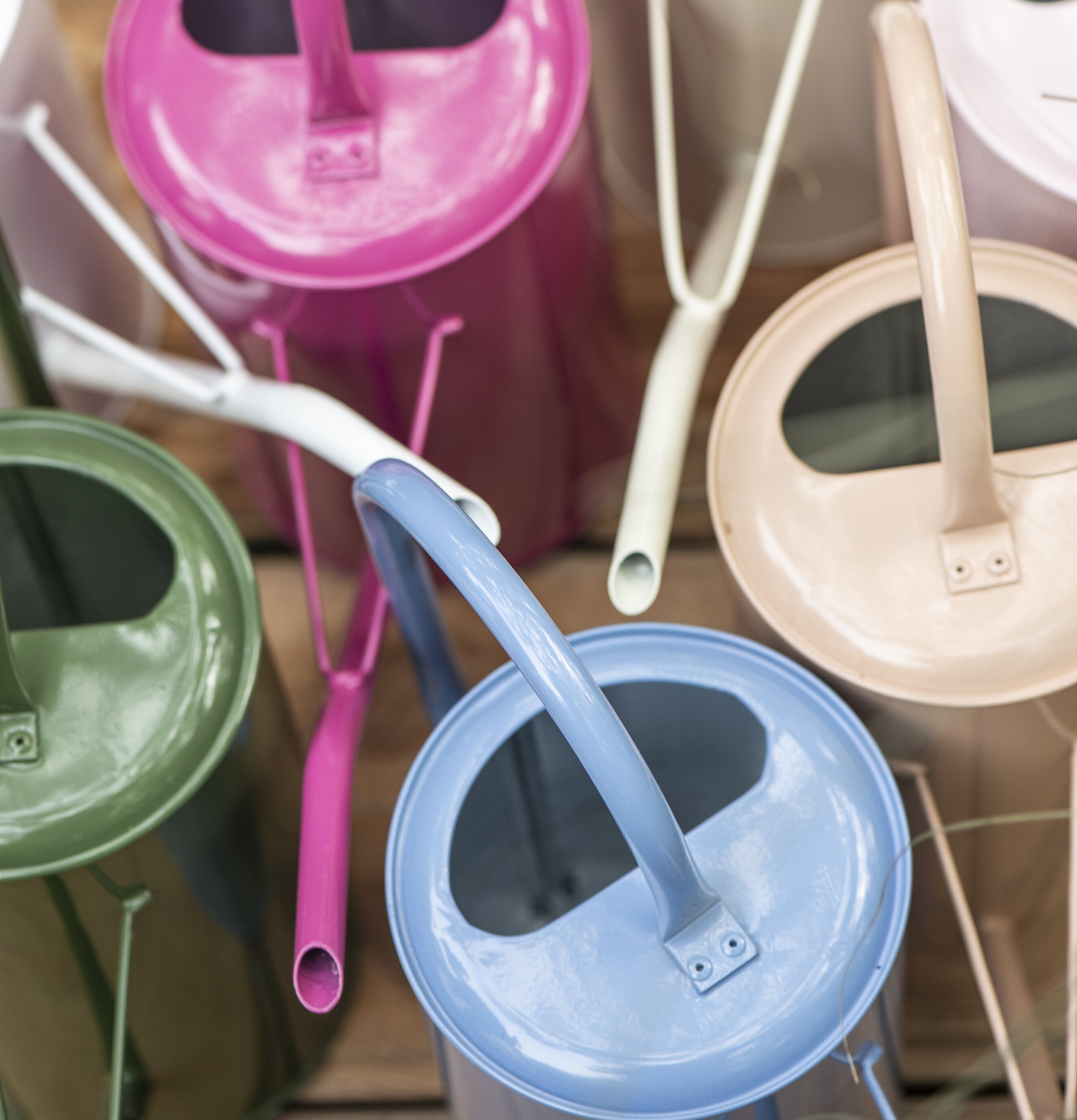 Vattenkanna Blå 2.7 Liter från IB Laursen i en trädgård