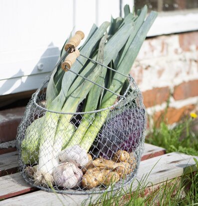 Vikbar Trådkorg Med Handtag från IB Laursen fylld med grönsaker